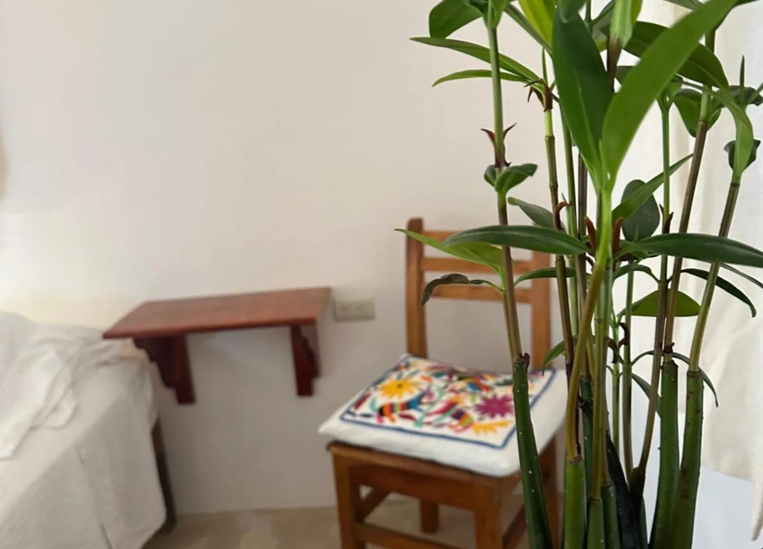 Casa Minerva Apartment Isla Holbox Mexico